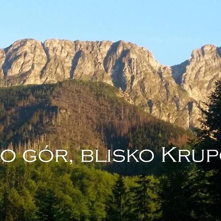 Willa Otulina Pod Giewontem Zakopane Eksteriør bilde